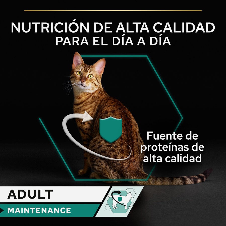 85 g Pro Plan Adult Maintenance Terrina rico en pollo para gatos, , large Imagen numero 2